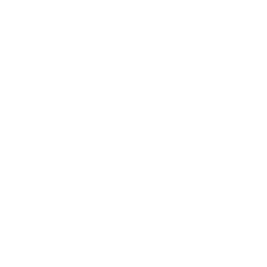 Morrey Auto Group — 60 Years of Excellence, 1965–2025